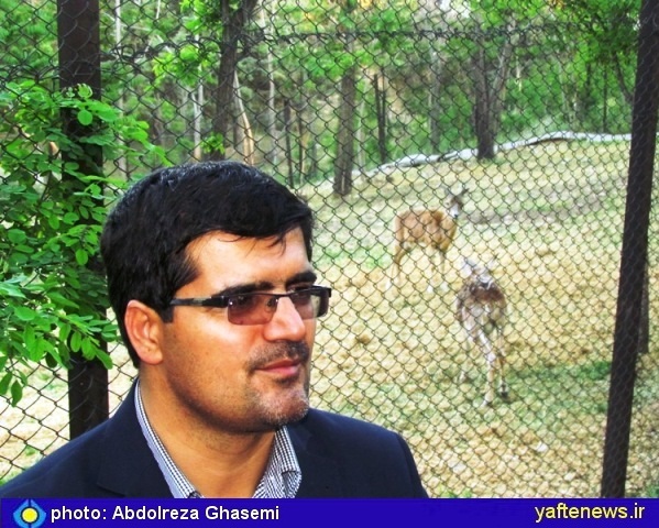 محمد حسین بازگیر مدیر کل محیط زیست لرستان - یافته